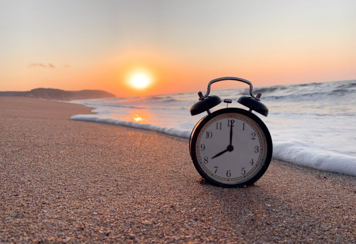 Chinese organ body clock