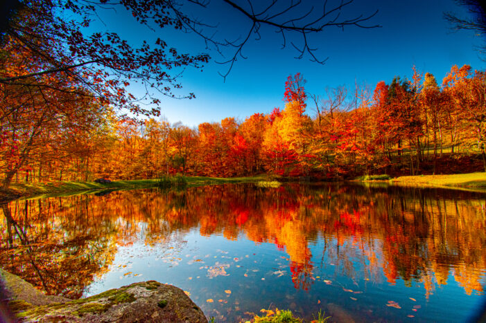 let go this fall