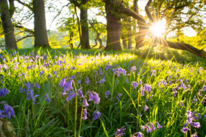 balance your energy this spring
