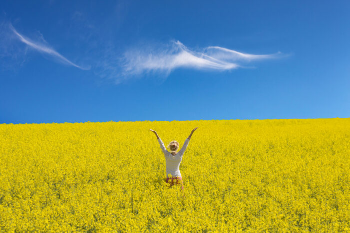 cultivate abundance