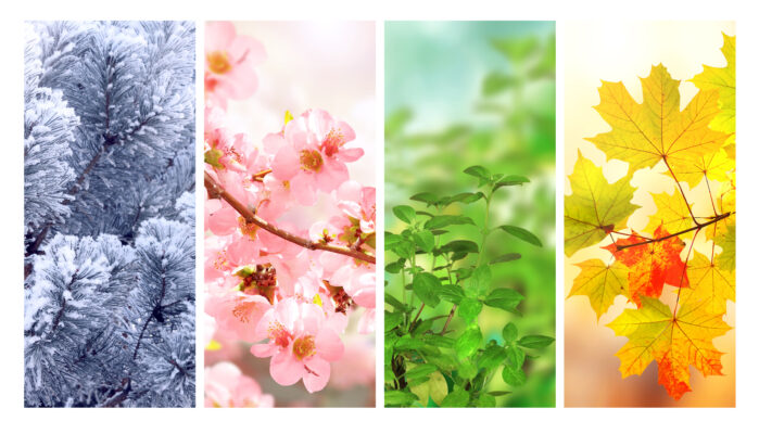 seasonal acupuncture treatments