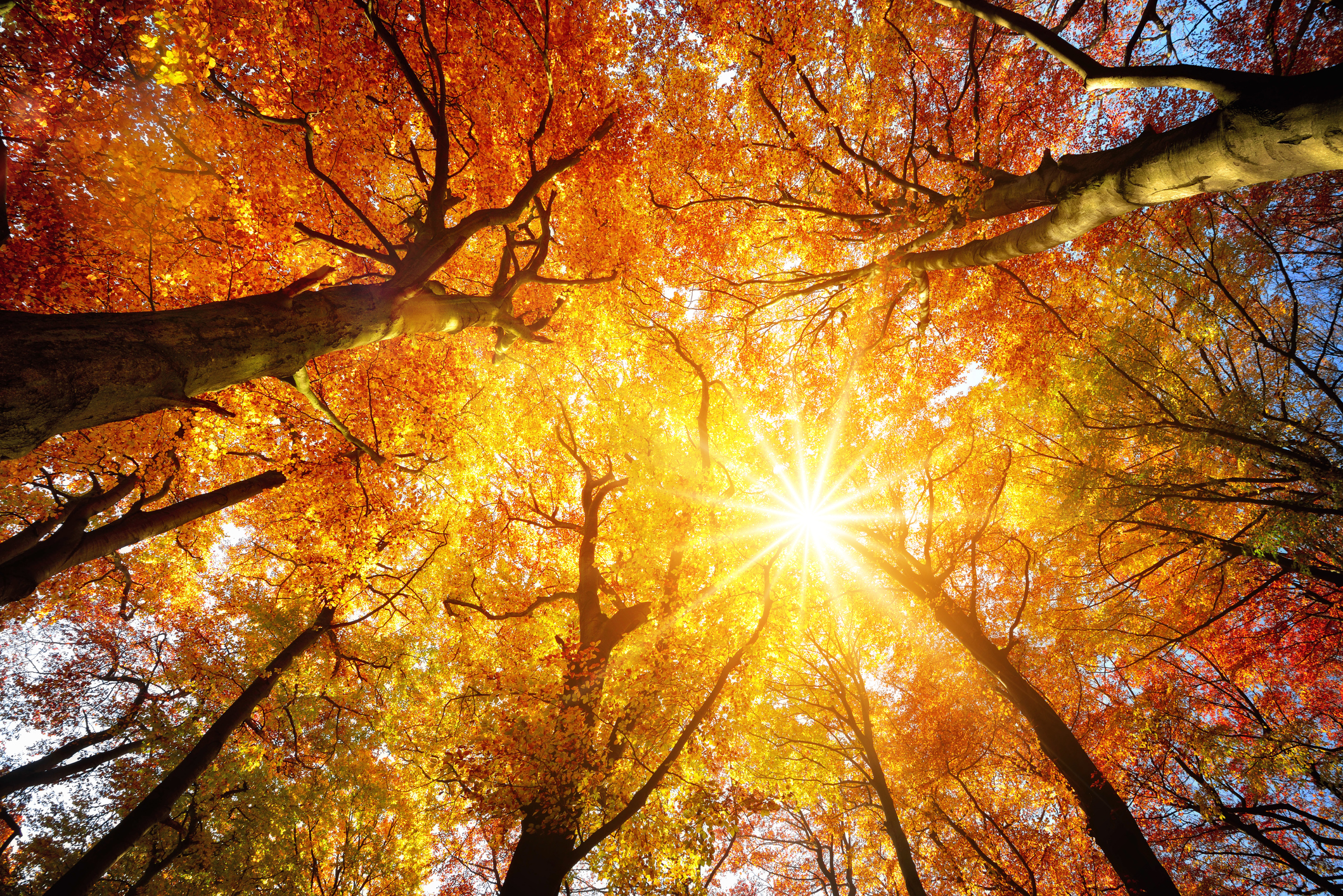 let go this autumn
