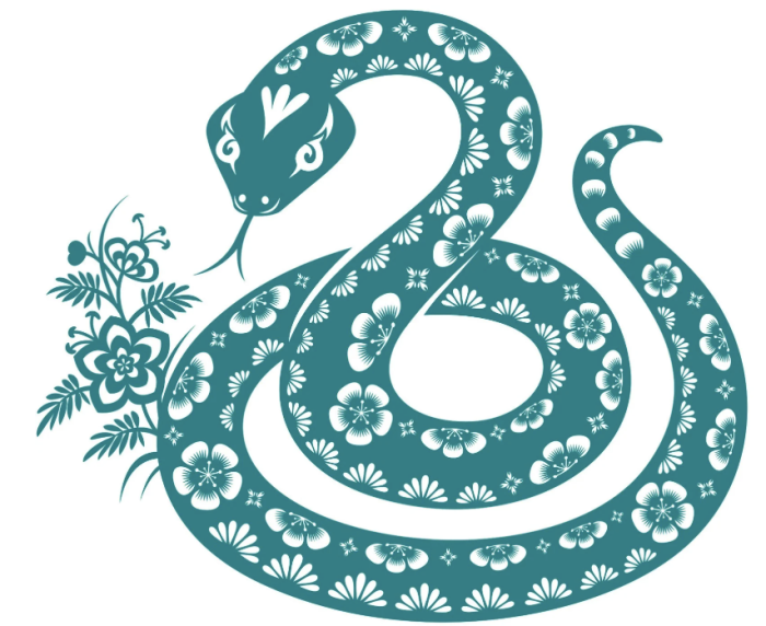 Year of the snake