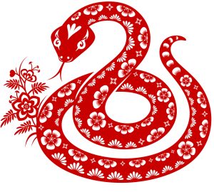 Year of the Snake red