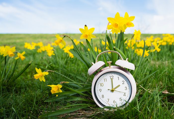 daylight savings time