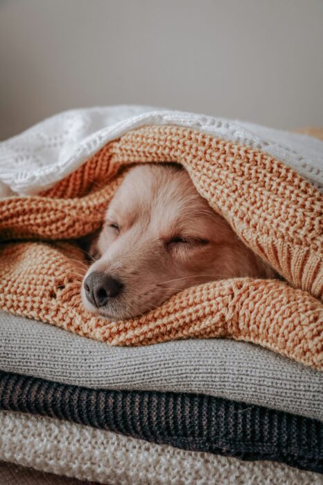 healthy sleep